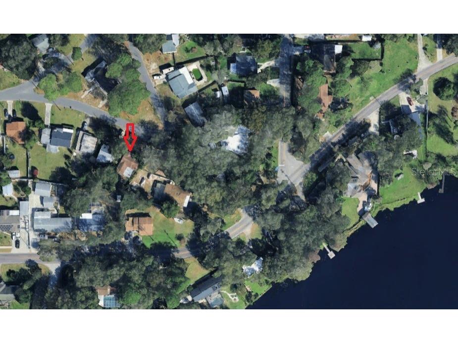 8006 N Temple Place Tampa FL 33617 TB8405465 image5