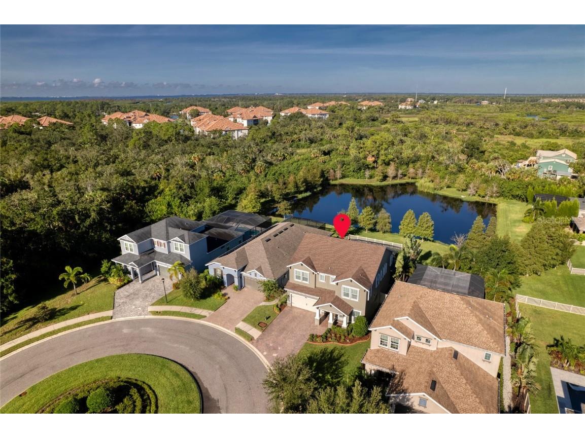 8006 Red Orchard Court Tampa FL 33635 U8255692 image1