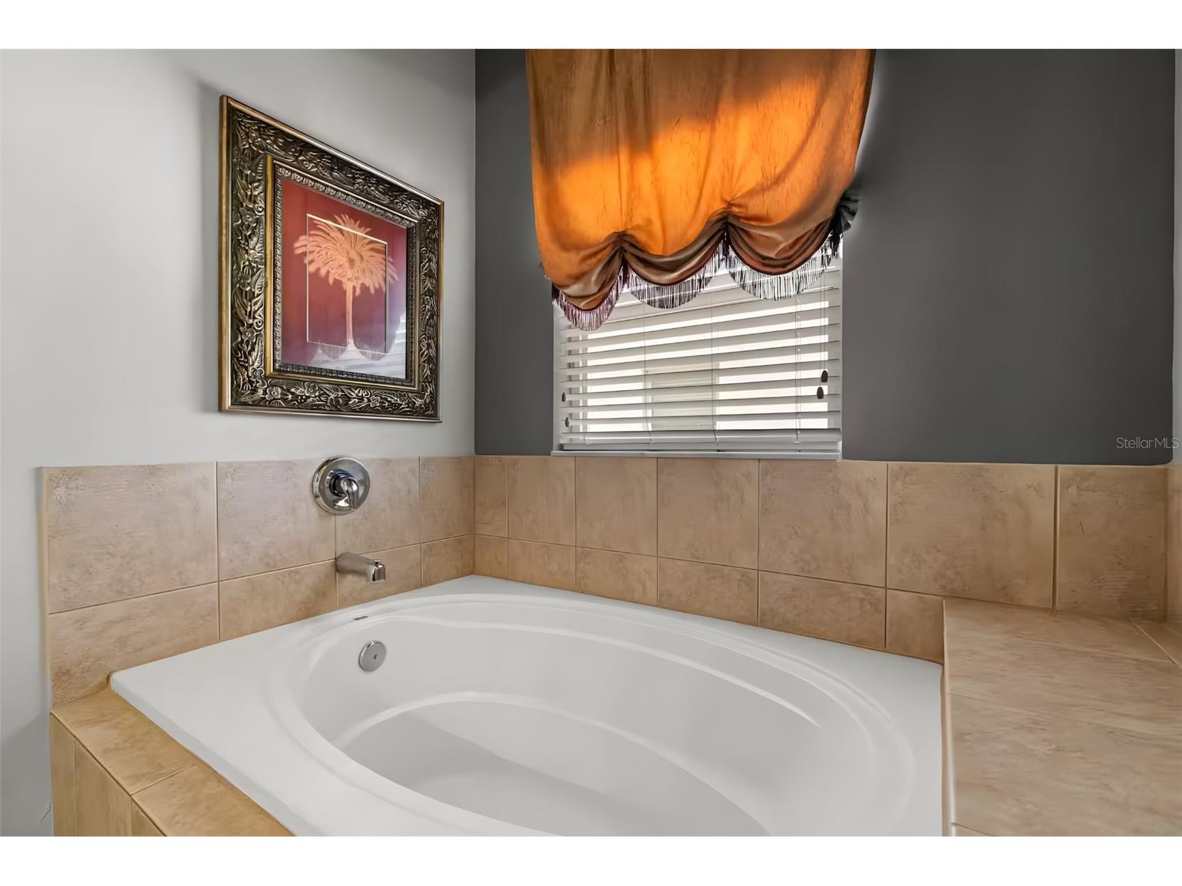 8007 Acadia Estates Court Kissimmee FL 34747 A4676638 image28