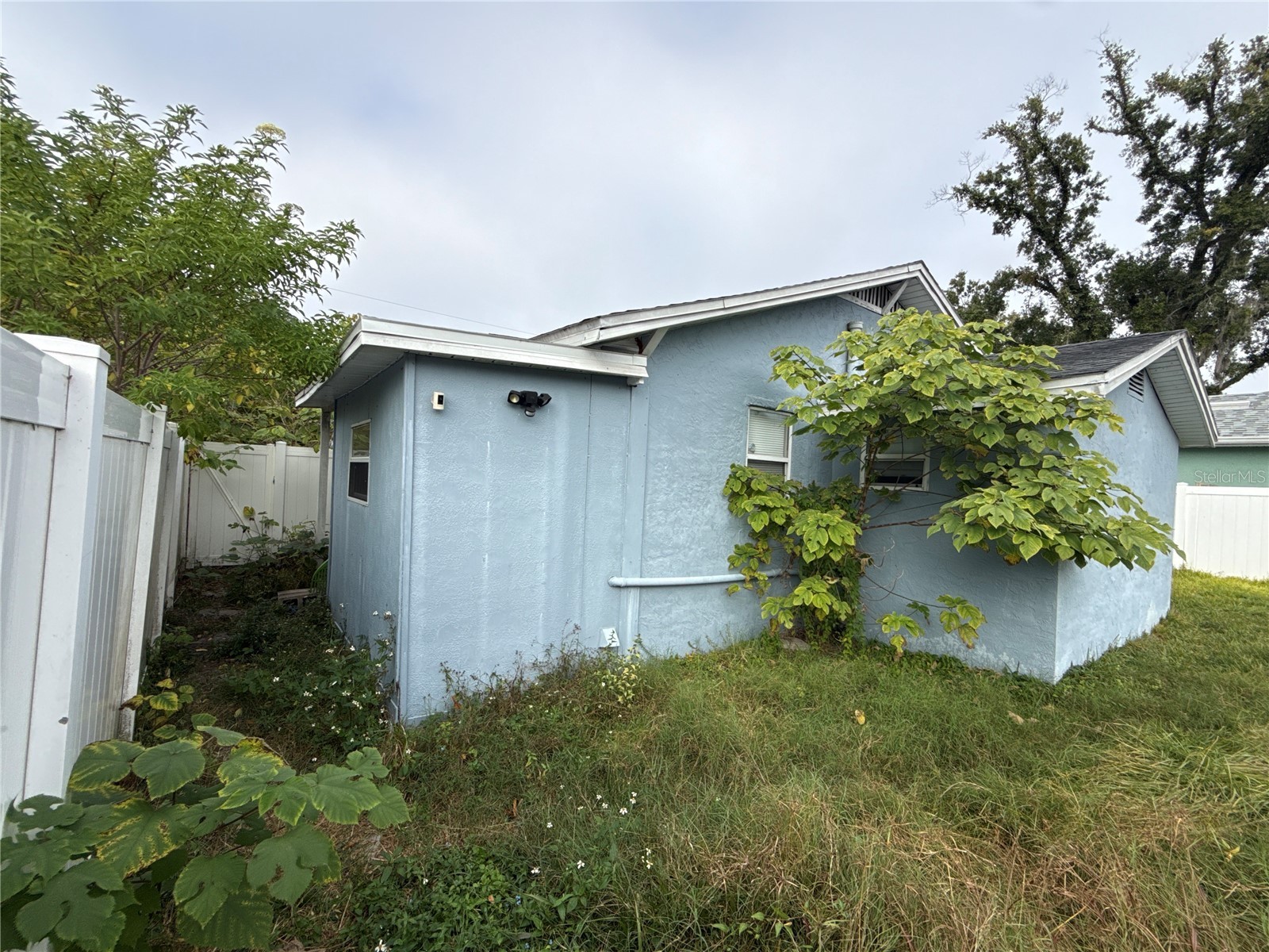 8007 N Klondyke Street Tampa FL 33604 TB8487767 image7