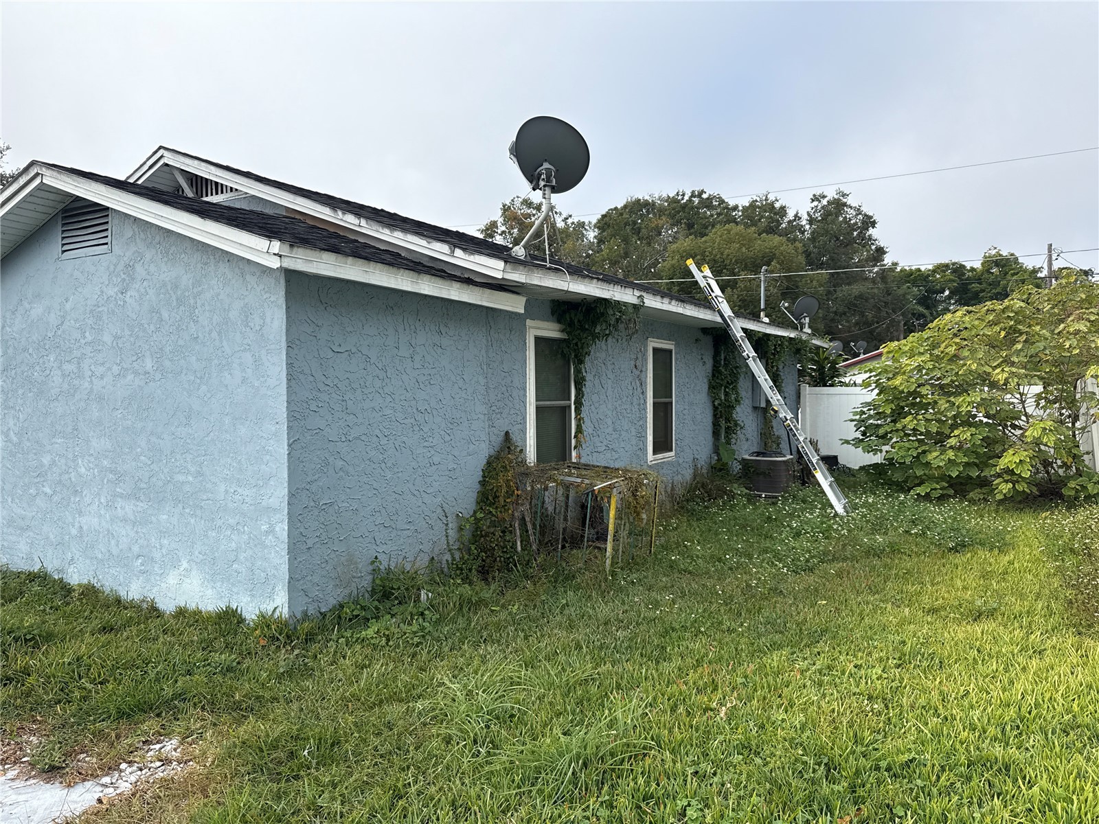 8007 N Klondyke Street Tampa FL 33604 TB8487767 image9