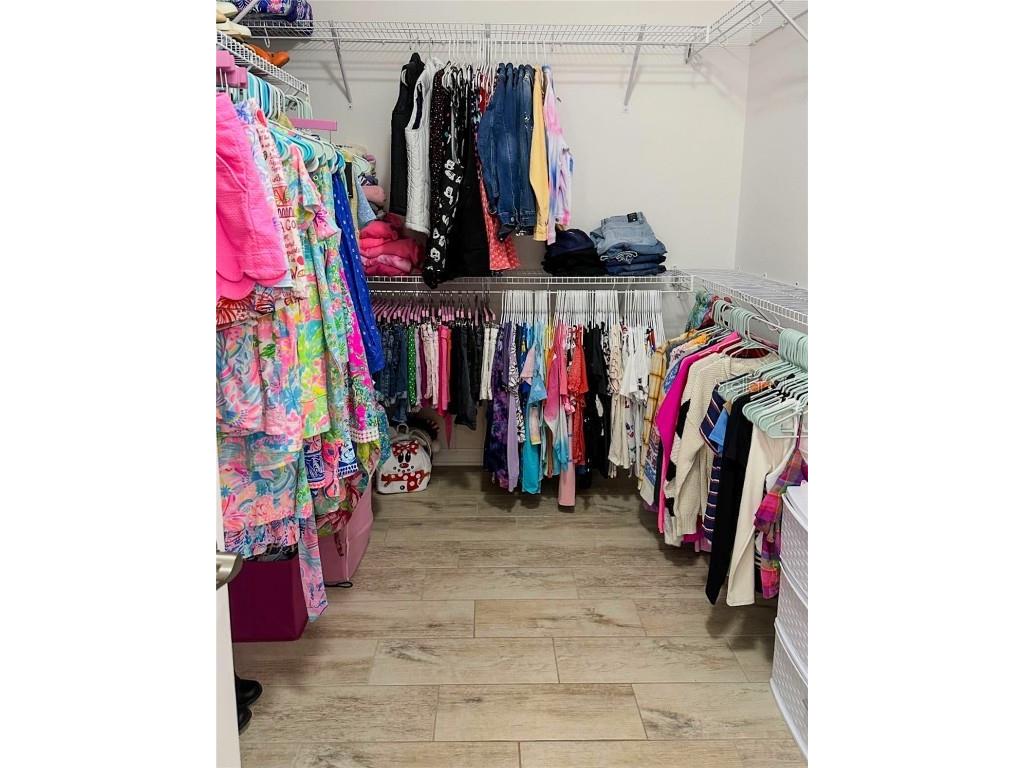 8007 Navel Orange Lane Winter Garden FL 34787 O6361920 image28