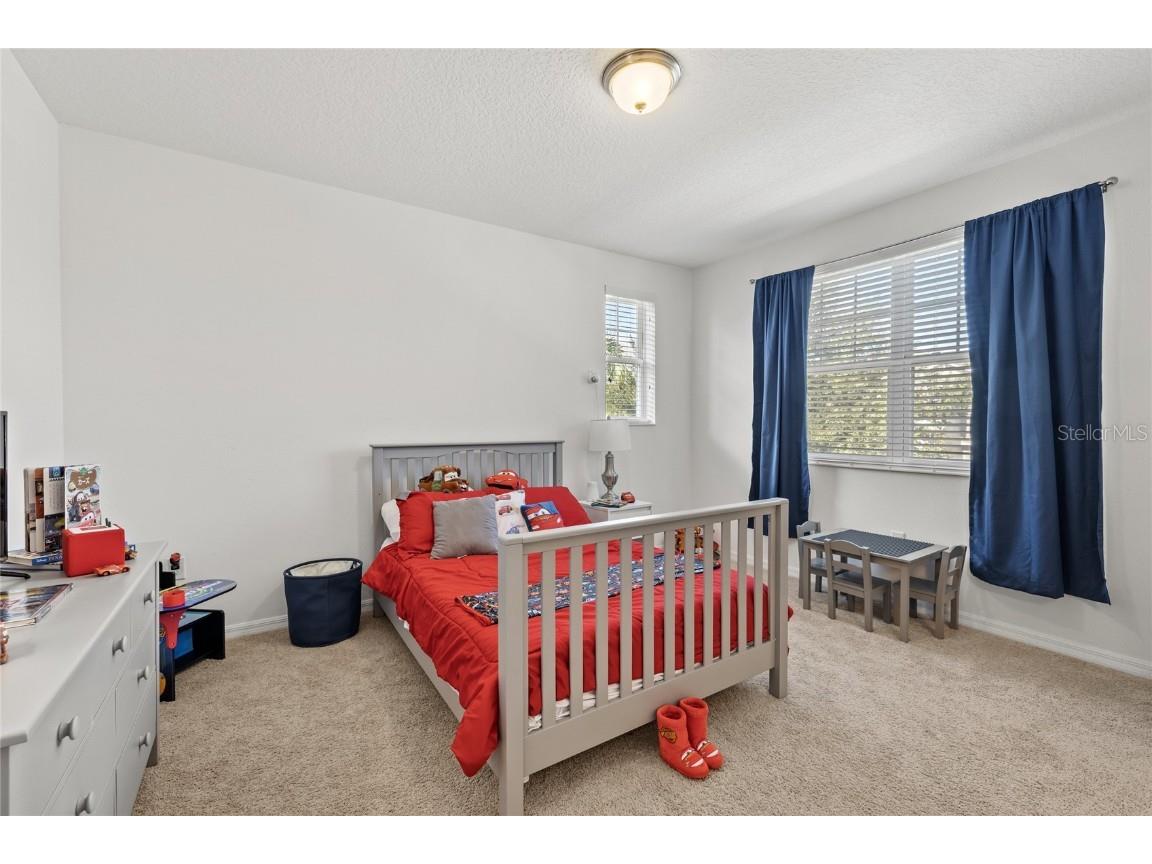 8007 Navel Orange Lane Winter Garden FL 34787 O6361920 image31