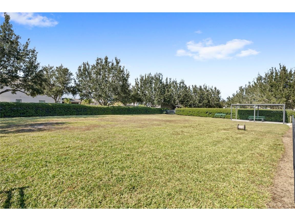 8007 Navel Orange Lane Winter Garden FL 34787 O6361920 image57