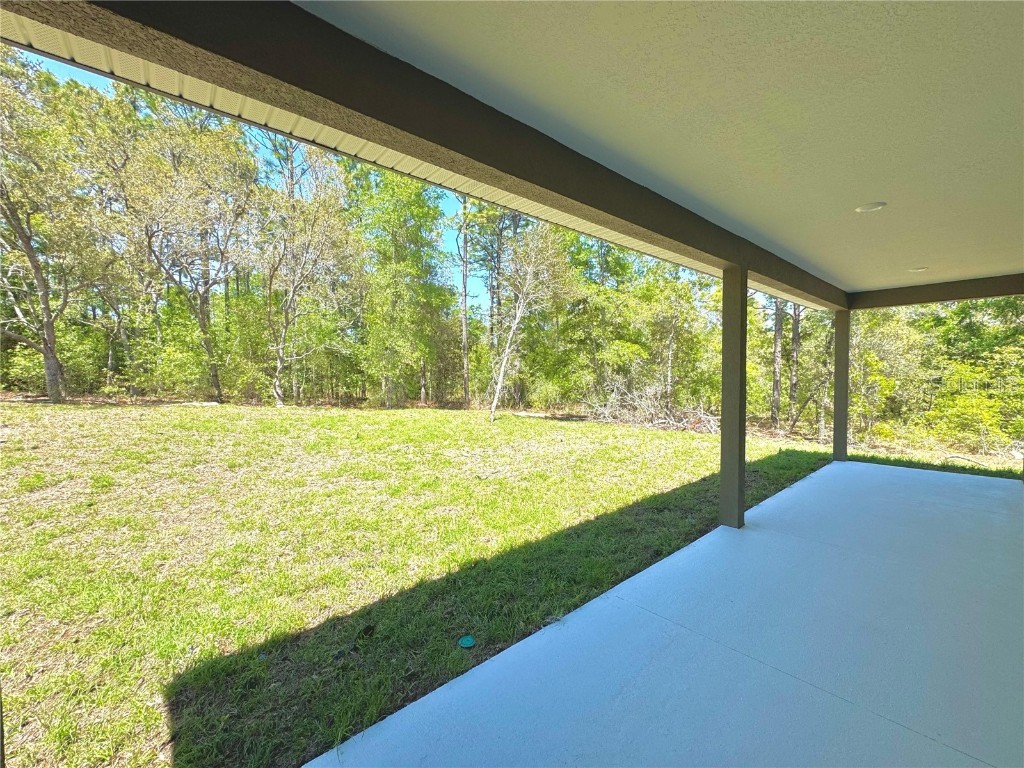 8008 N Triana Drive Citrus Springs FL 34434 O6295210 image10