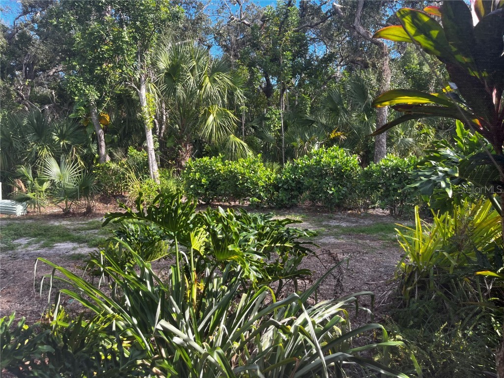 8009 Bobcat Circle Sarasota FL 34238 A4665567 image44