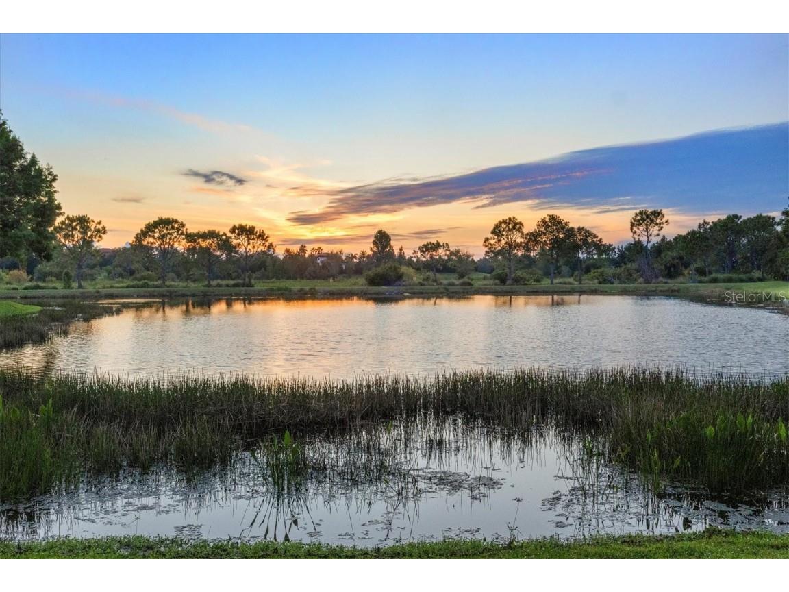 8009 Bounty Lane Bradenton FL 34202 A4663859 image83