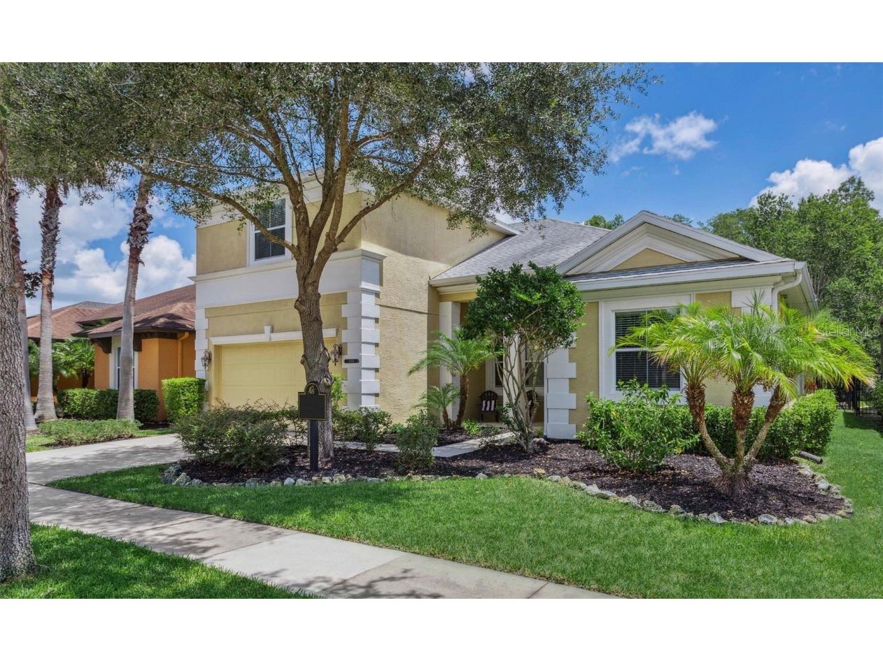 8009 Hampton Glen Drive Tampa FL 33647 T3445302 image1