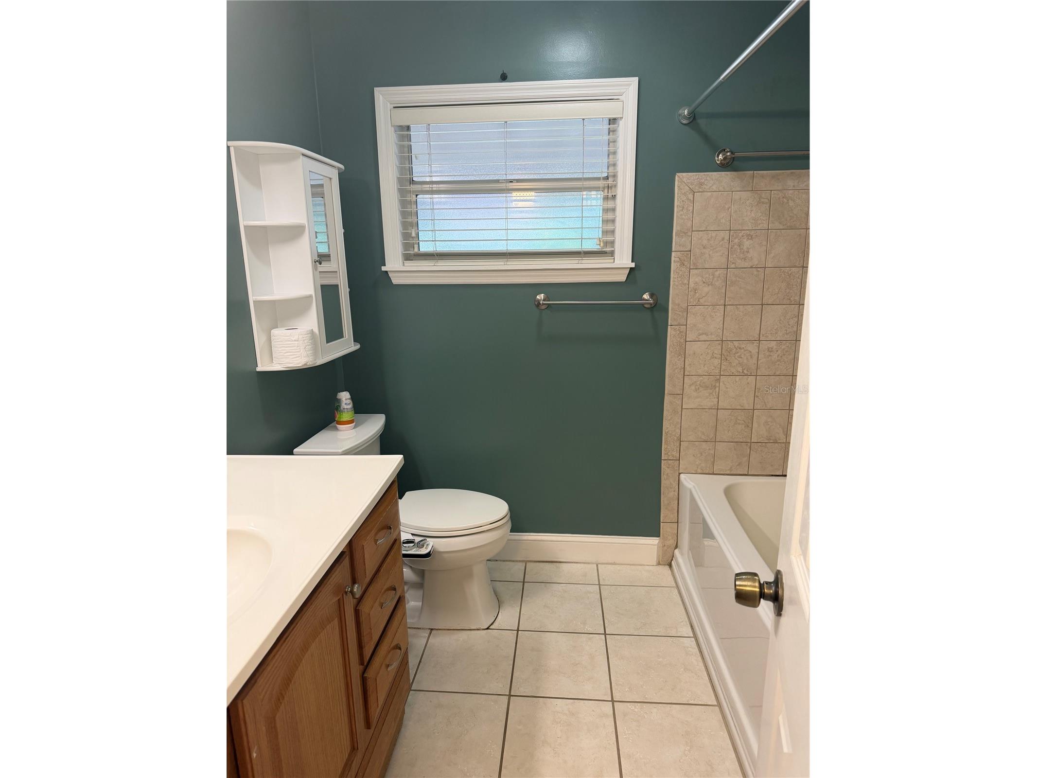 8009 Paulson Lane Tampa FL 33617 TB8520105 image10