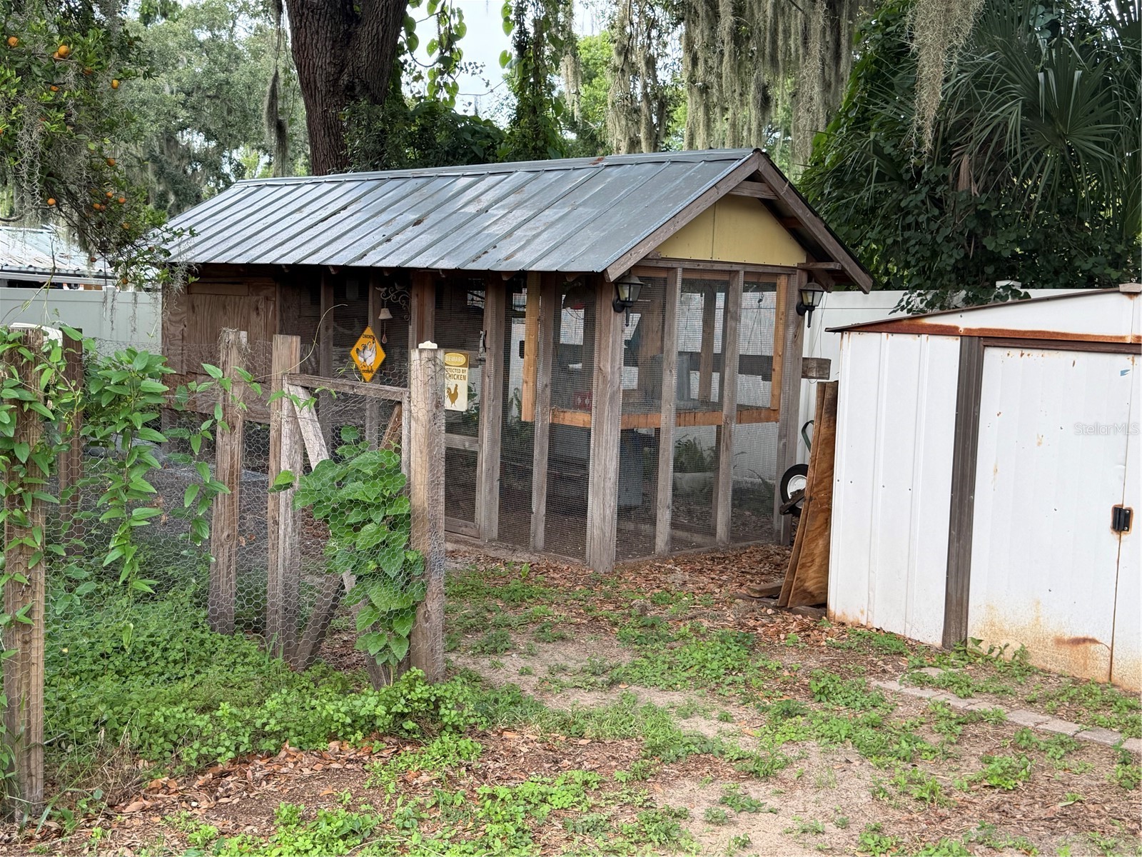 8009 Paulson Lane Tampa FL 33617 TB8520105 image19