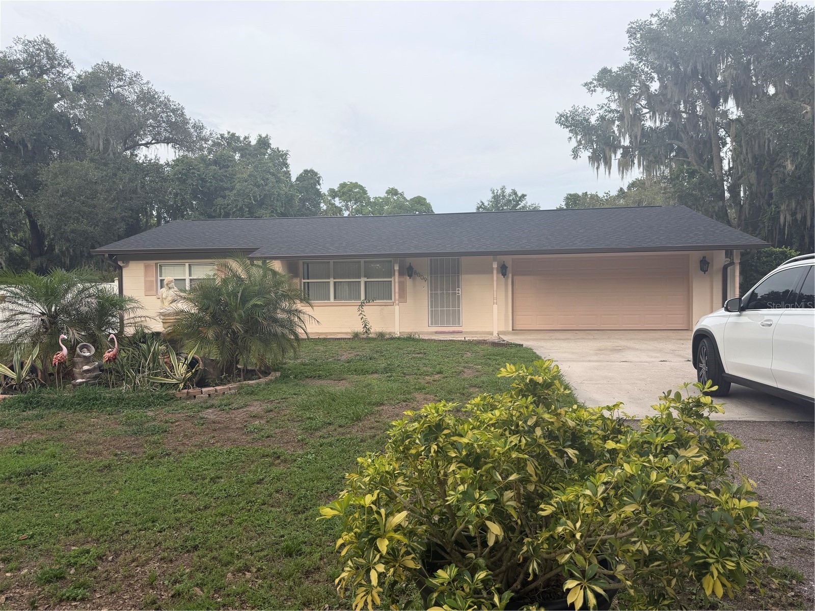8009 Paulson Lane Tampa FL 33617 TB8520105 image2