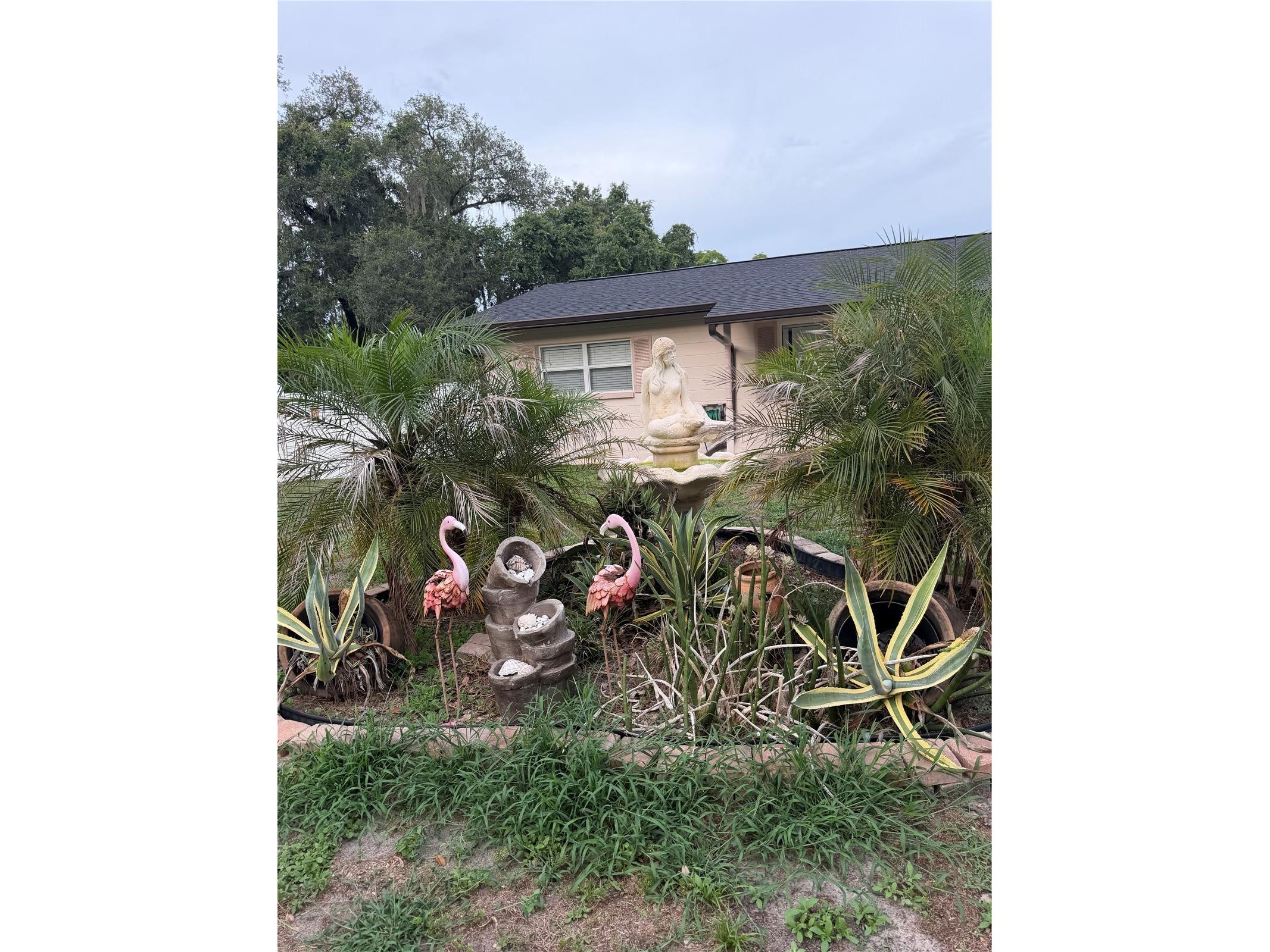 8009 Paulson Lane Tampa FL 33617 TB8520105 image21