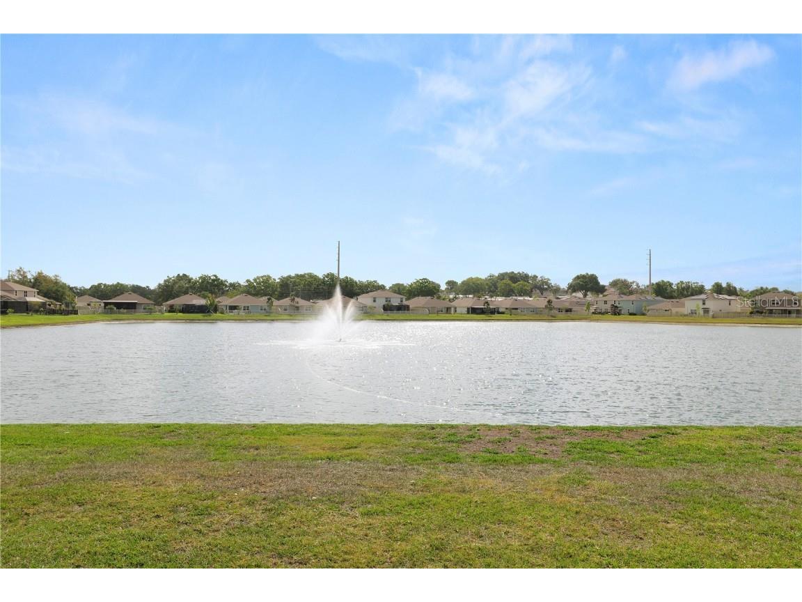 8009 Sail Clover Lane Zephyrhills FL 33540 L4952038 image45