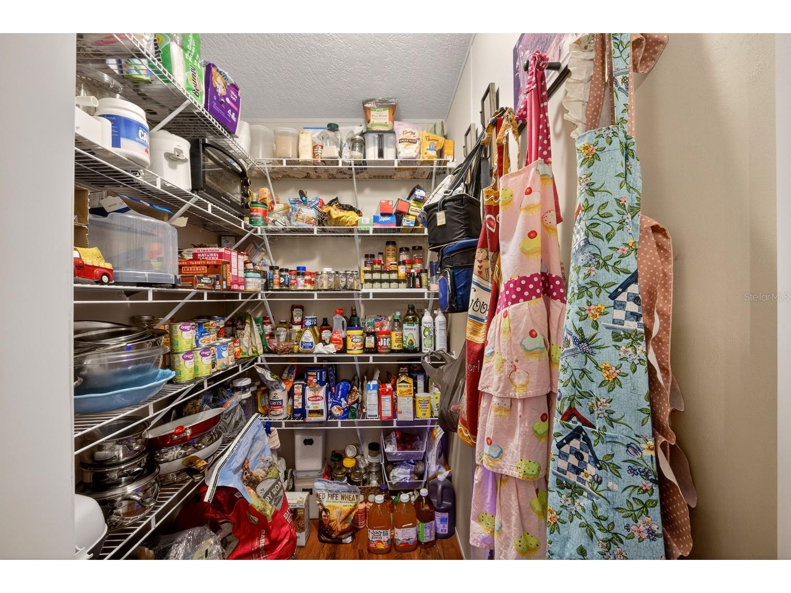 8009 Sergeant Pepper Dr Howey In The Hills FL 34737 - Blue Spring Lake G5108930 image19