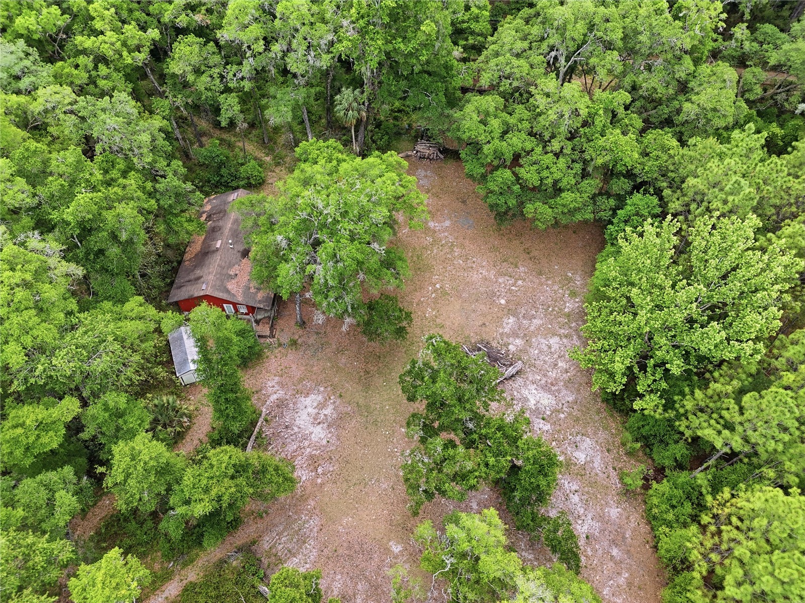 8009 SW 131st Terrace Archer FL 32618 GC539544 image3
