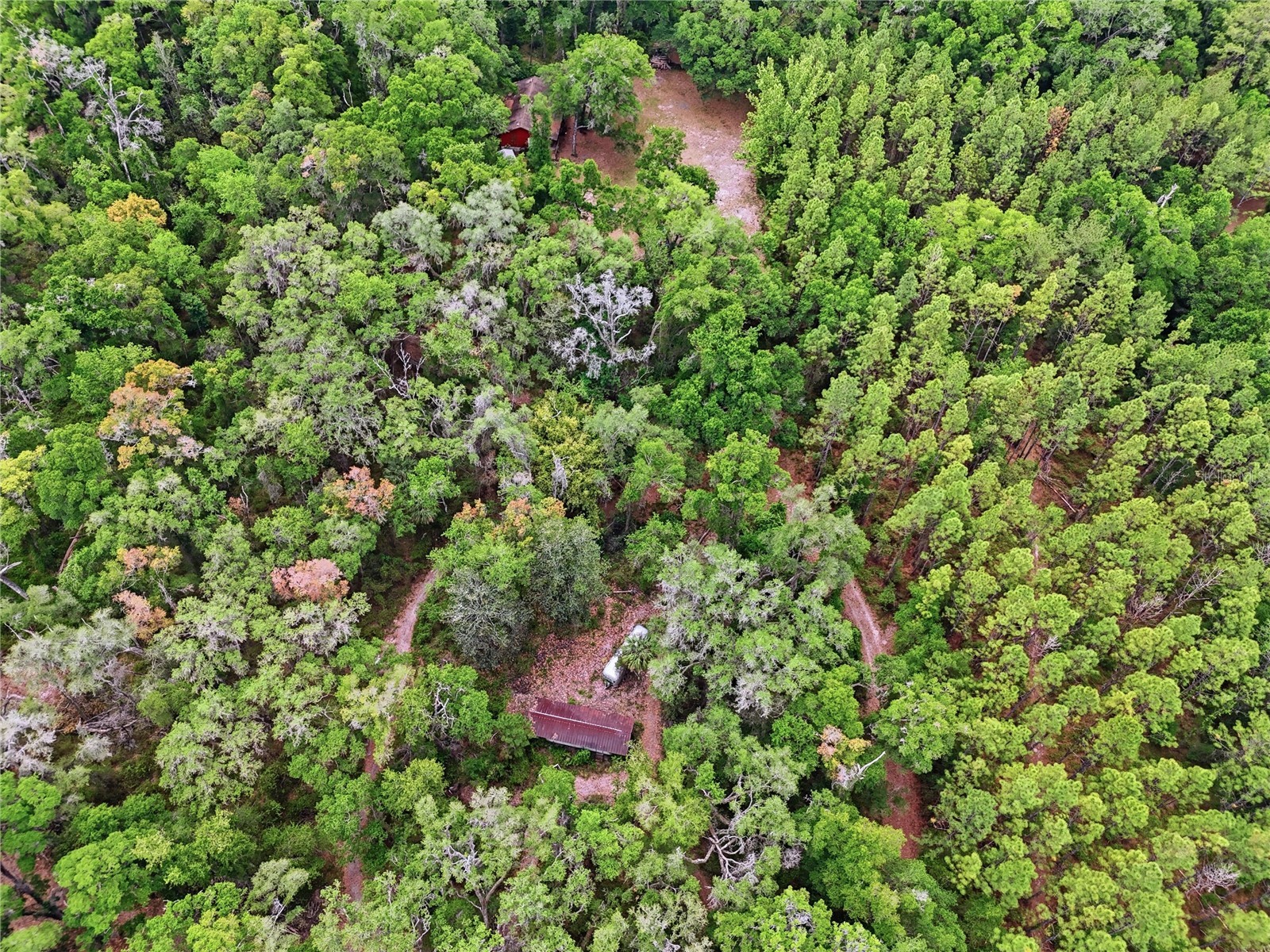 8009 SW 131st Terrace Archer FL 32618 GC539544 image9
