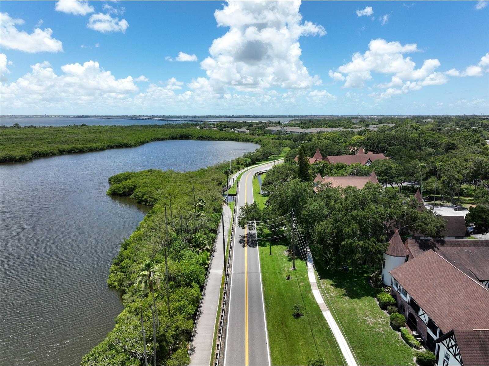 801 2nd Street N #C Safety Harbor FL 34695 TB8470496 image37