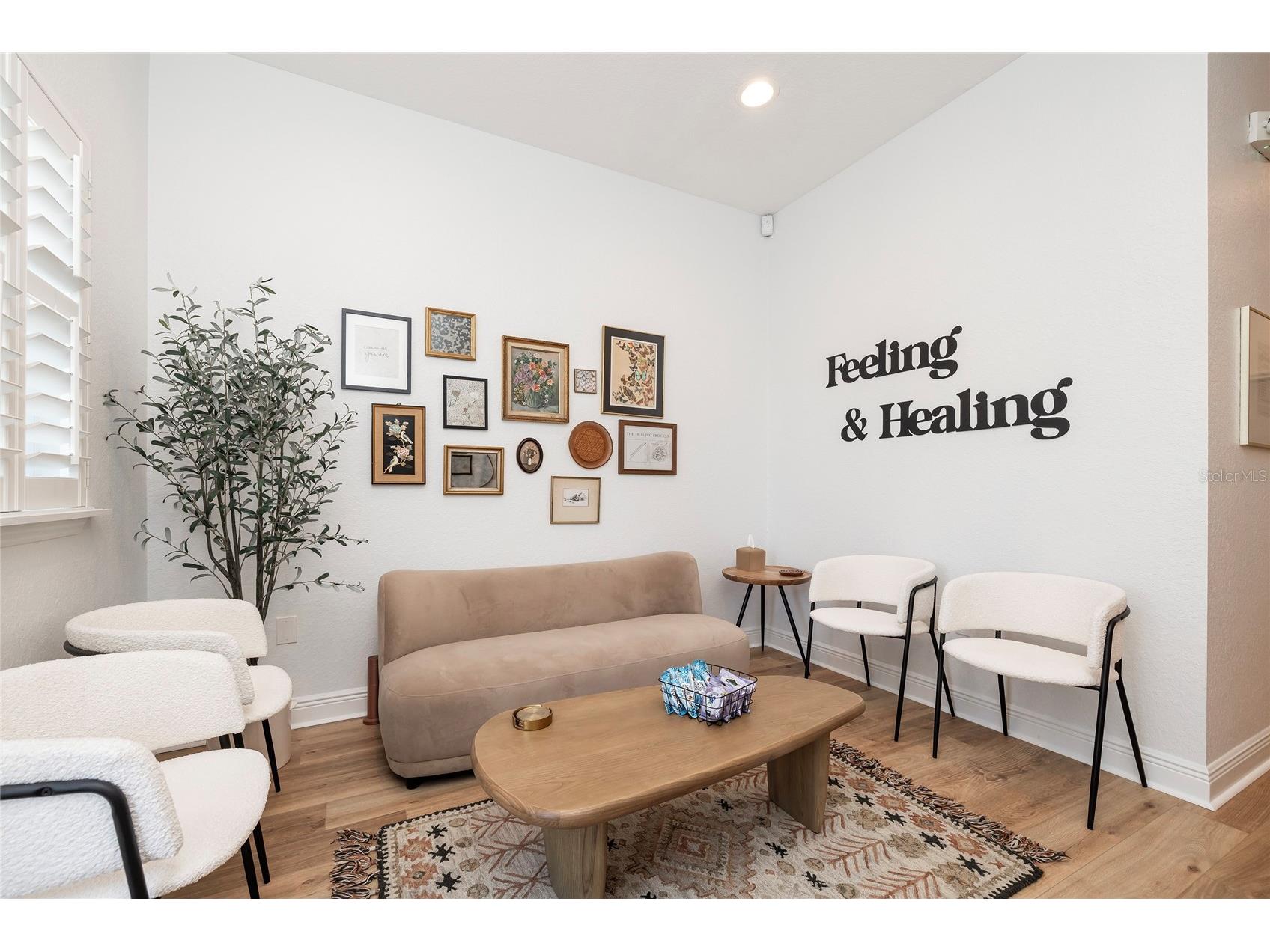 801 2nd Street N #C Safety Harbor FL 34695 TB8470496 image6