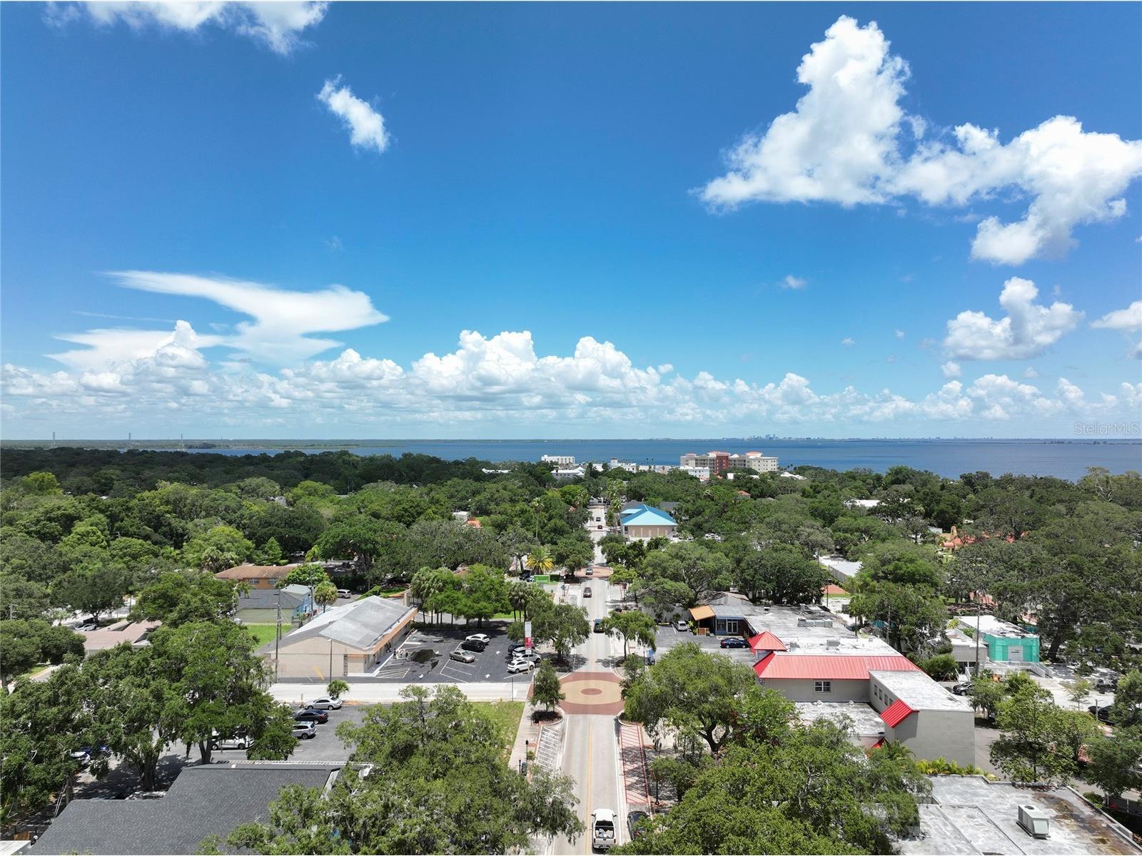 801 2nd Street N #C Safety Harbor FL 34695 TB8483884 image39