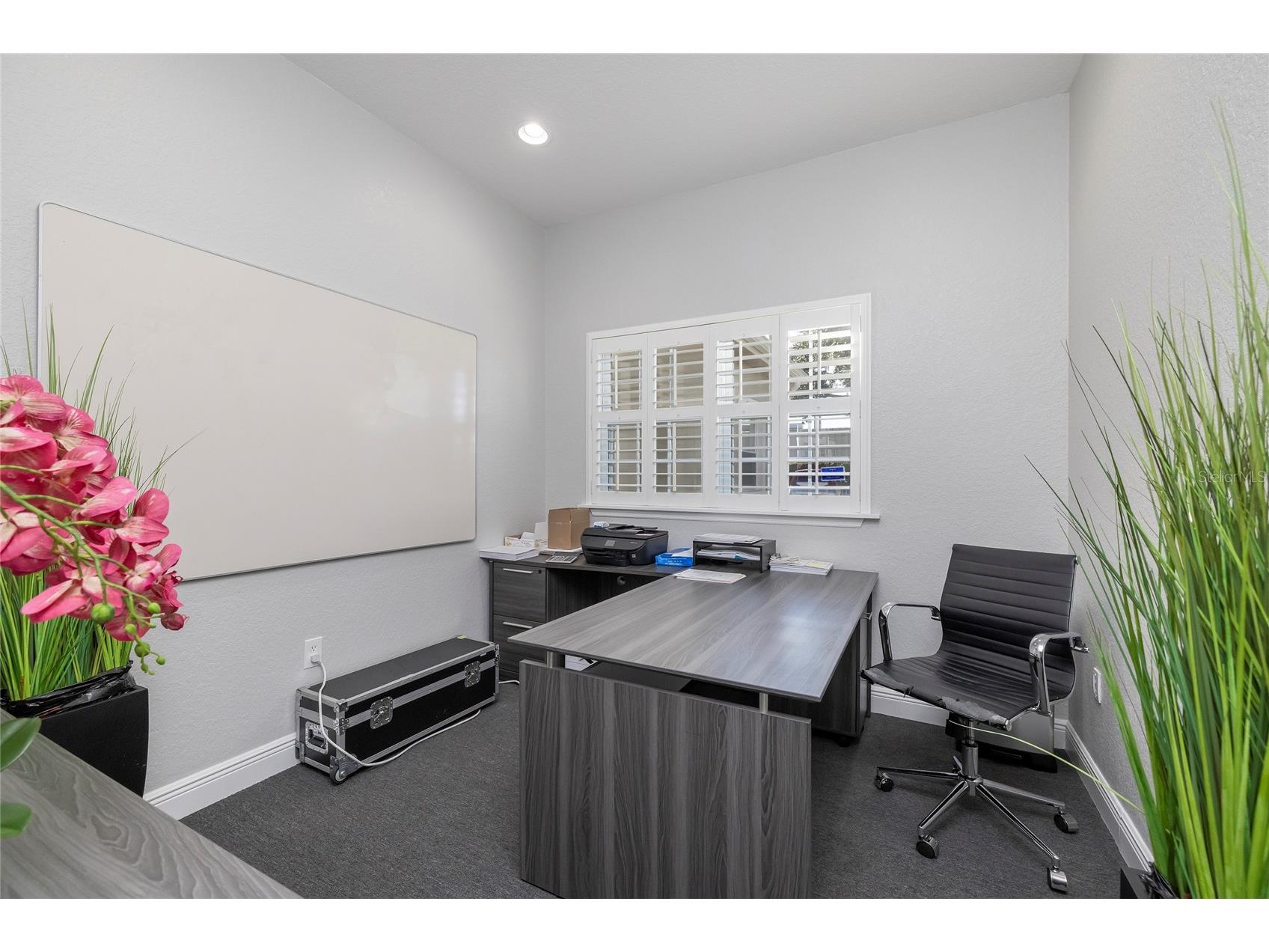 801 2nd Street N #C Safety Harbor FL 34695 TB8483884 image50