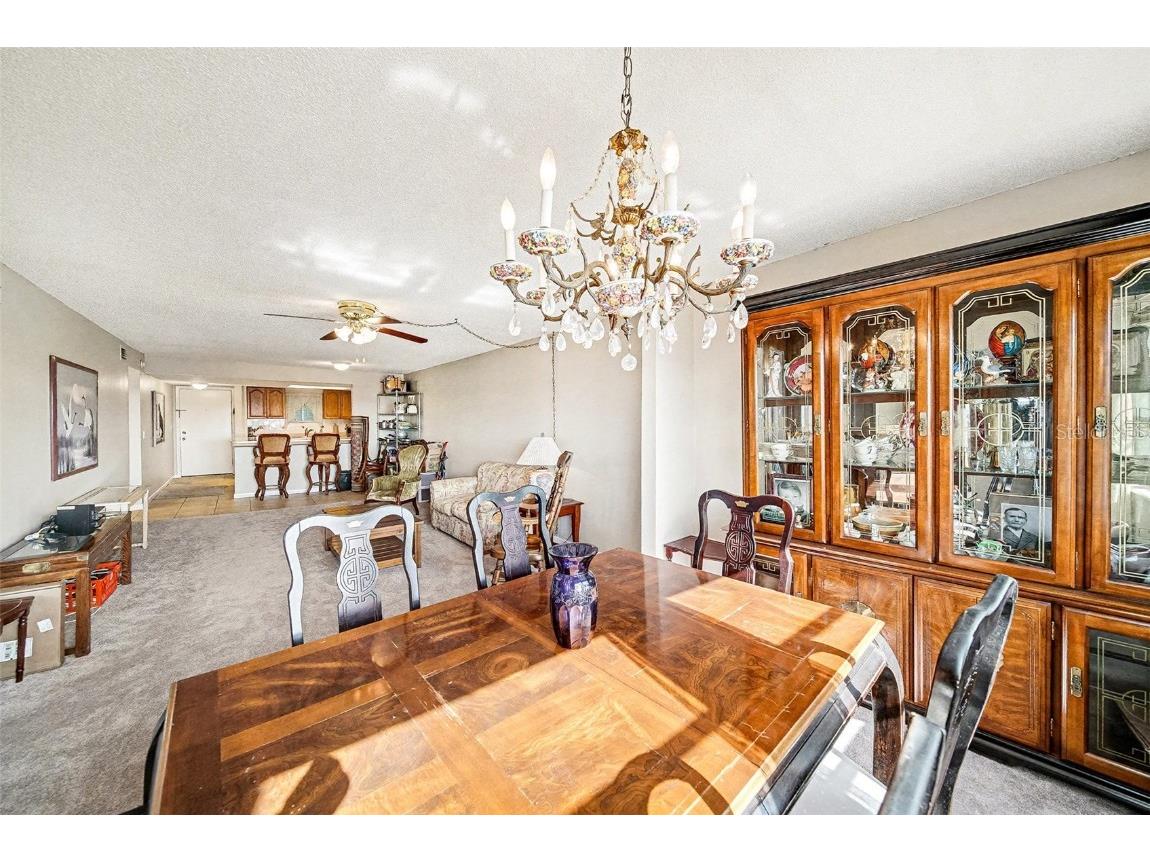 801 83rd Avenue N #415 Saint Petersburg FL 33702 TB8448422 image9