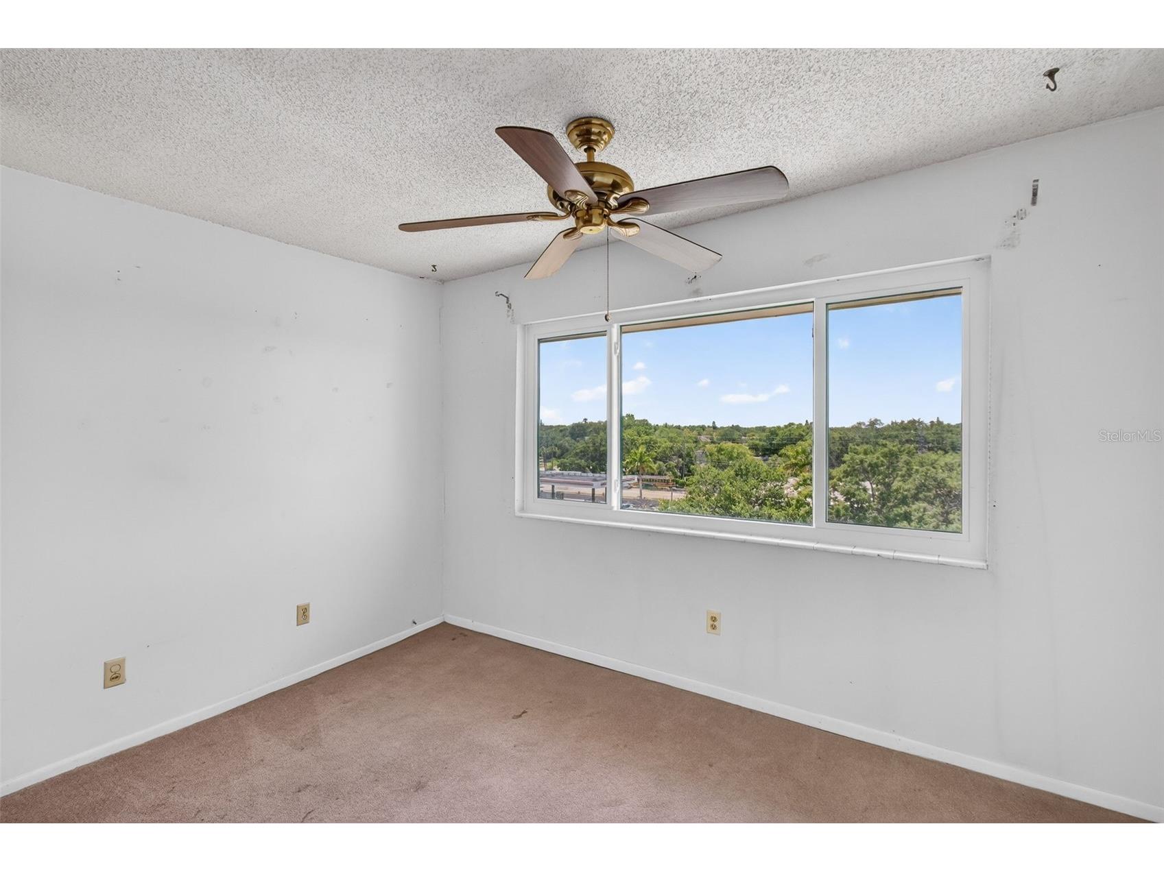 801 83rd Avenue N #508 Saint Petersburg FL 33702 TB8486259 image12