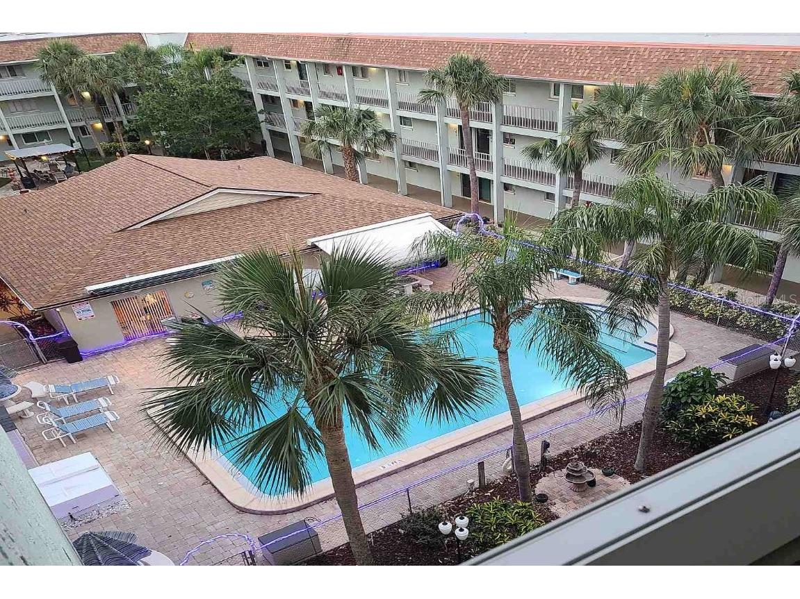 801 83rd Avenue N #515 Saint Petersburg FL 33702 U8208913 image1