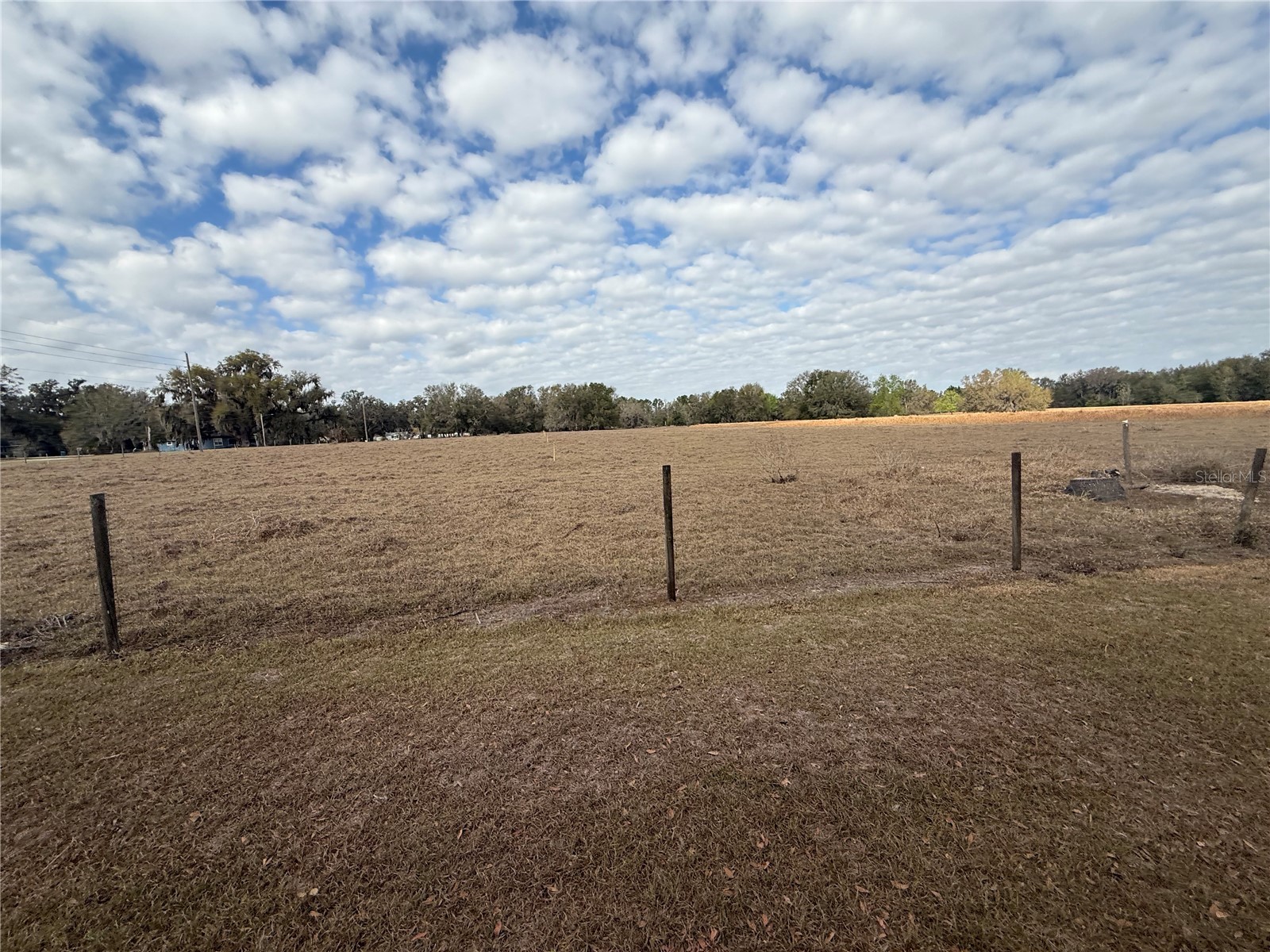 801 9th Street NE Fort Meade FL 33841 TB8481175 image26