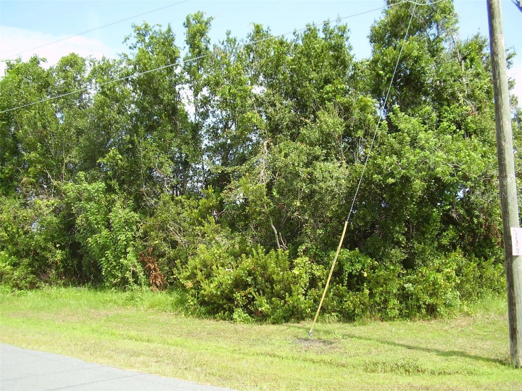 801 Carrousel Lane Kissimmee FL 34759 R4909969 image2