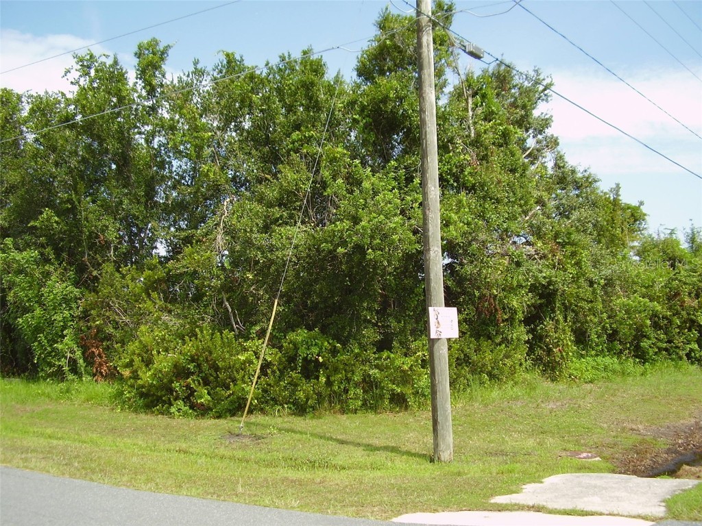 801 Carrousel Lane Kissimmee FL 34759 R4909969 image3