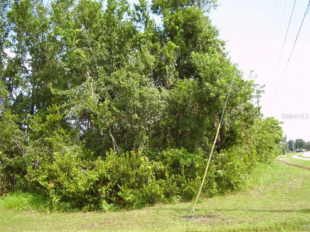 801 Carrousel Lane Kissimmee FL 34759 R4909969 image4