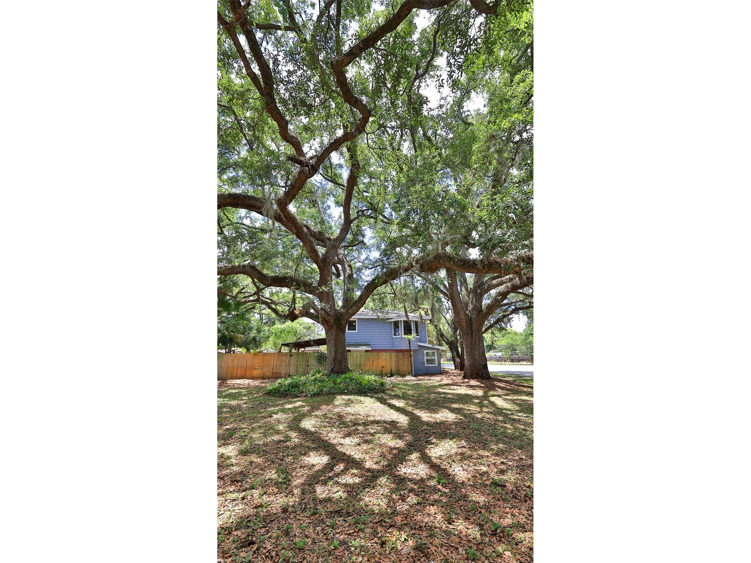 801 E 20th Street Sanford FL 32771 O6408932 image50