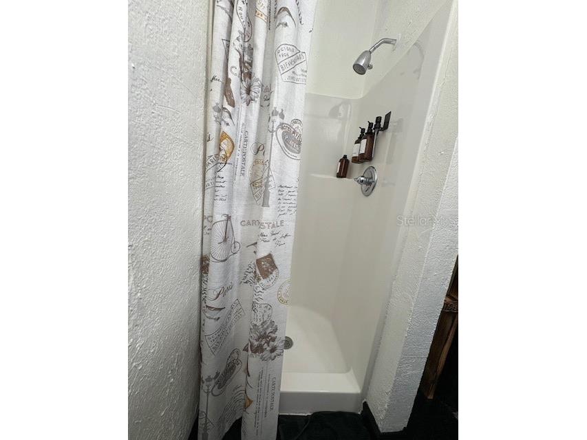 801 E Palm Avenue #2 Tampa FL 33602 TB8439858 image10