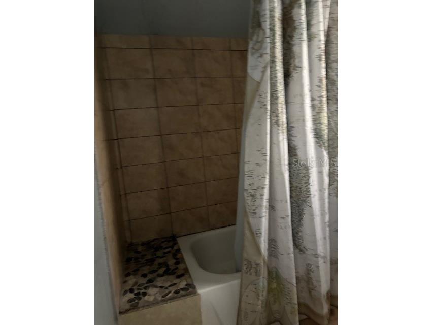 801 E Palm Avenue #2 Tampa FL 33602 TB8439858 image6