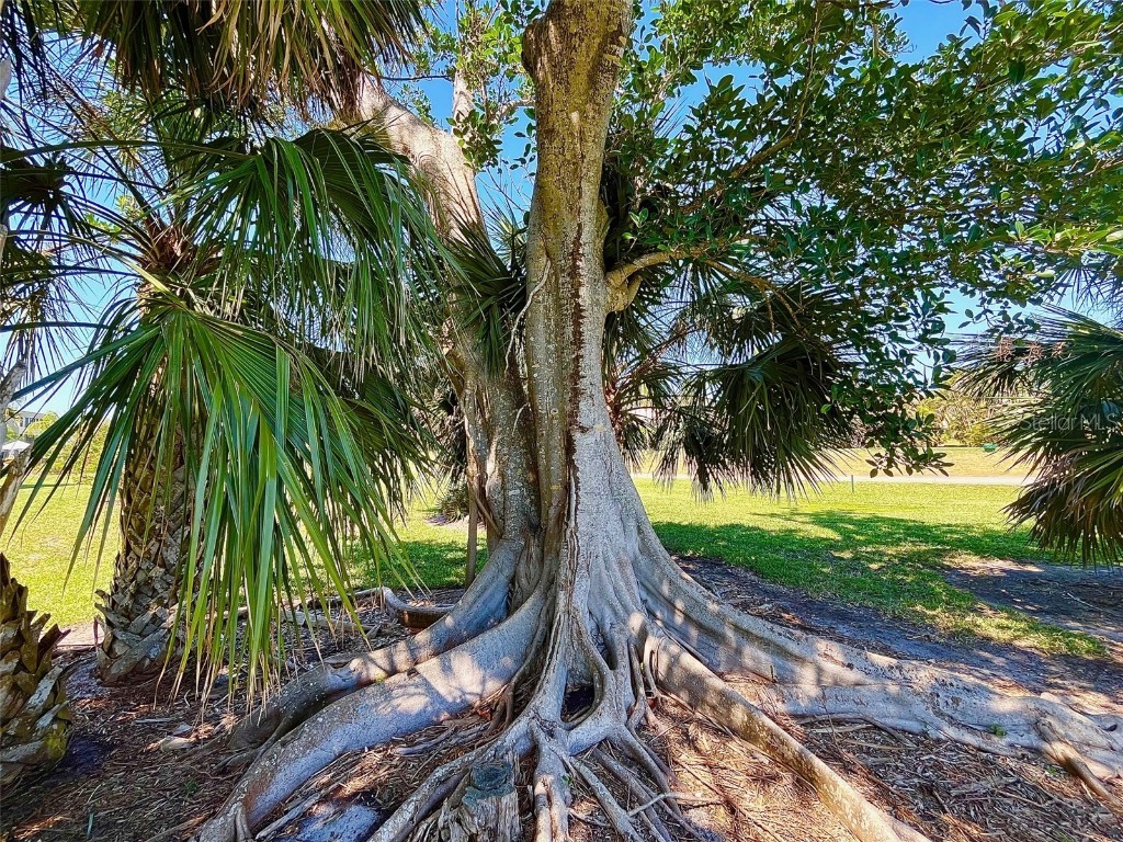 801 Islamorada Boulevard #22A Punta Gorda FL 33955 - CHARLOTTE HARBOR C7506766 image32