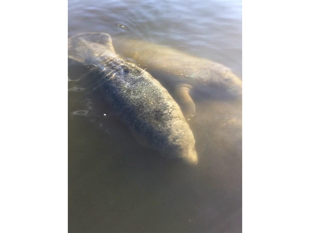 801 Islamorada Boulevard #22A Punta Gorda FL 33955 - CHARLOTTE HARBOR C7506766 image55