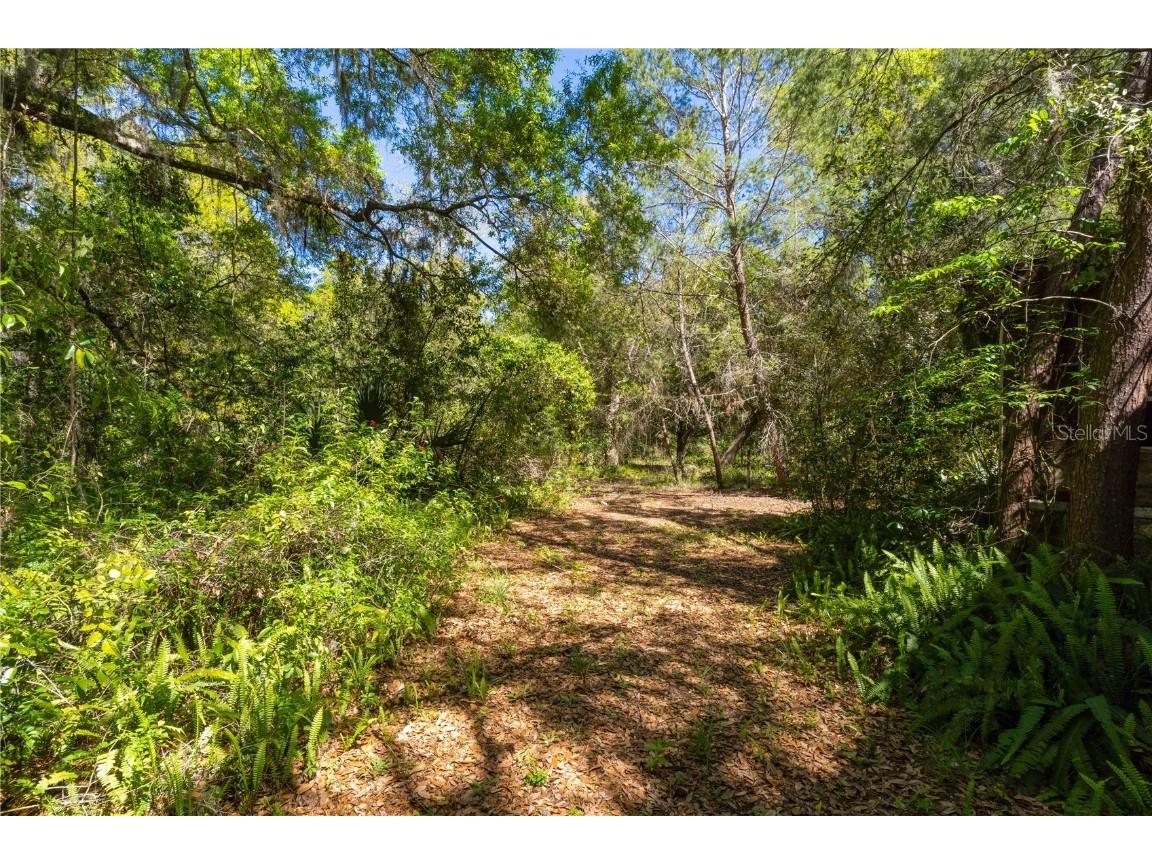 801 Kilgore Street Wildwood FL 34785 G5094538 image7