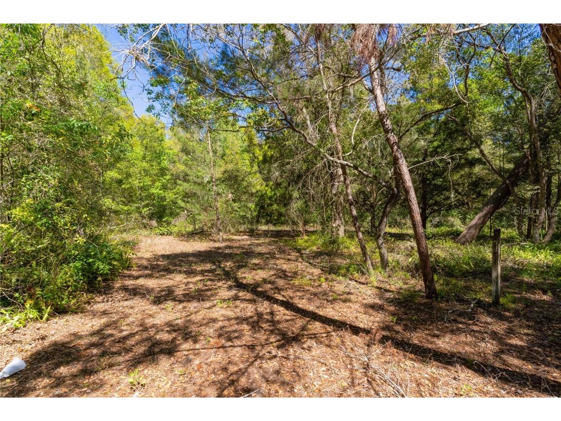 801 Kilgore Street Wildwood FL 34785 G5094538 image8