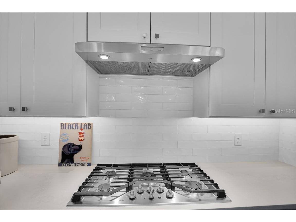 801 Lakeshore Drive Eustis FL 32726 G5104487 image9