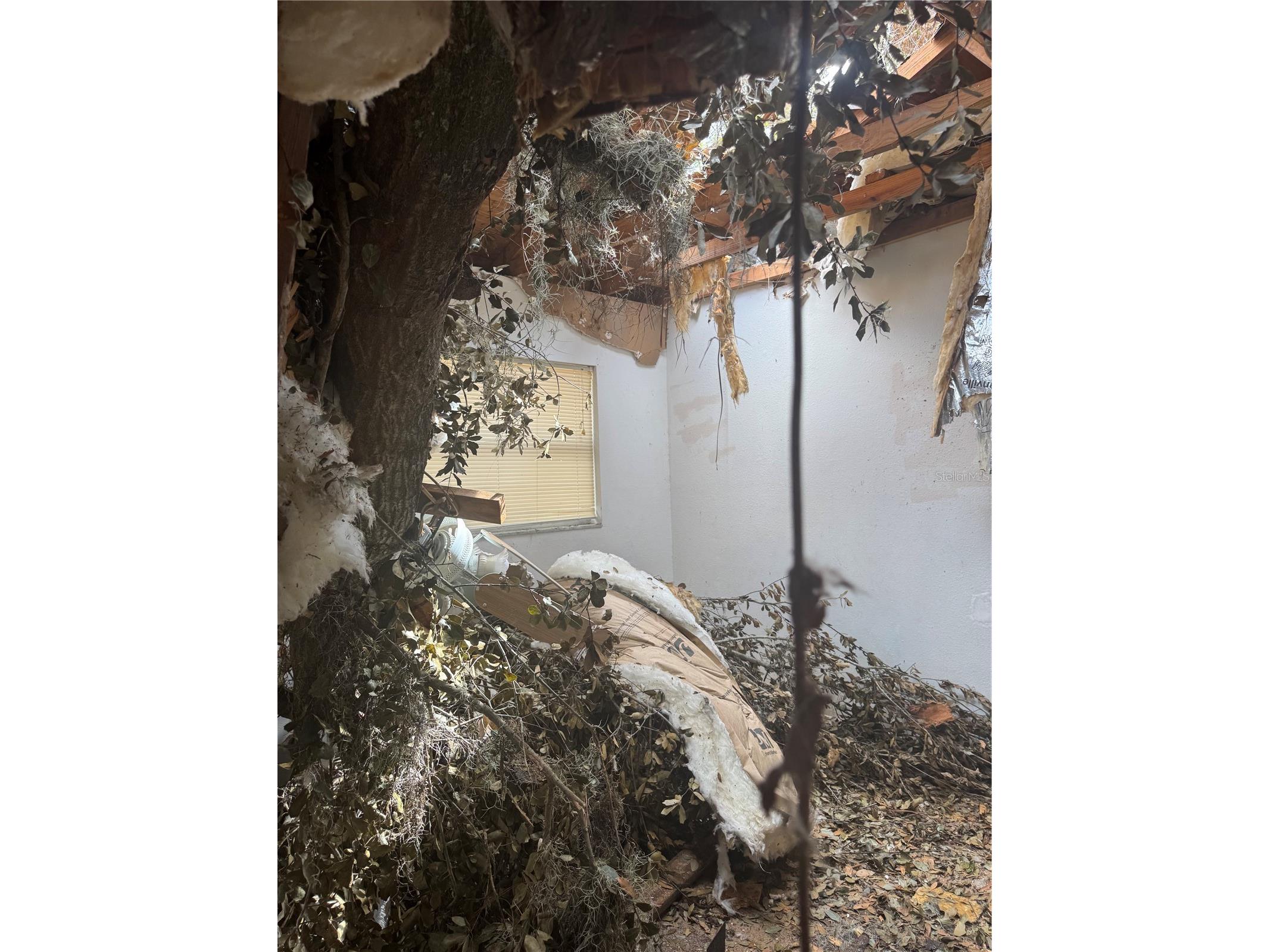 801 N Kingsway Road Seffner FL 33584 TB8463986 image11