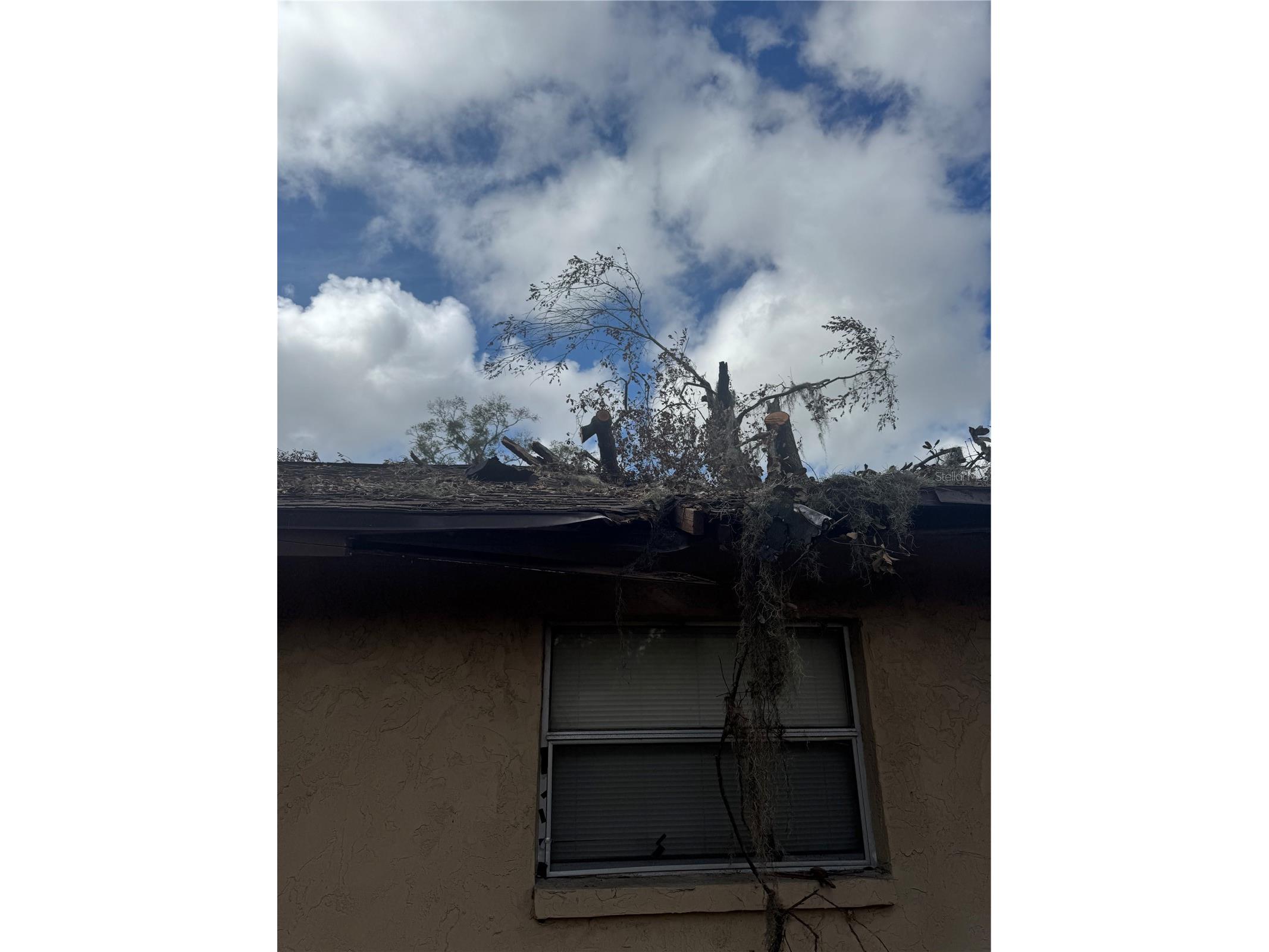 801 N Kingsway Road Seffner FL 33584 TB8463986 image14