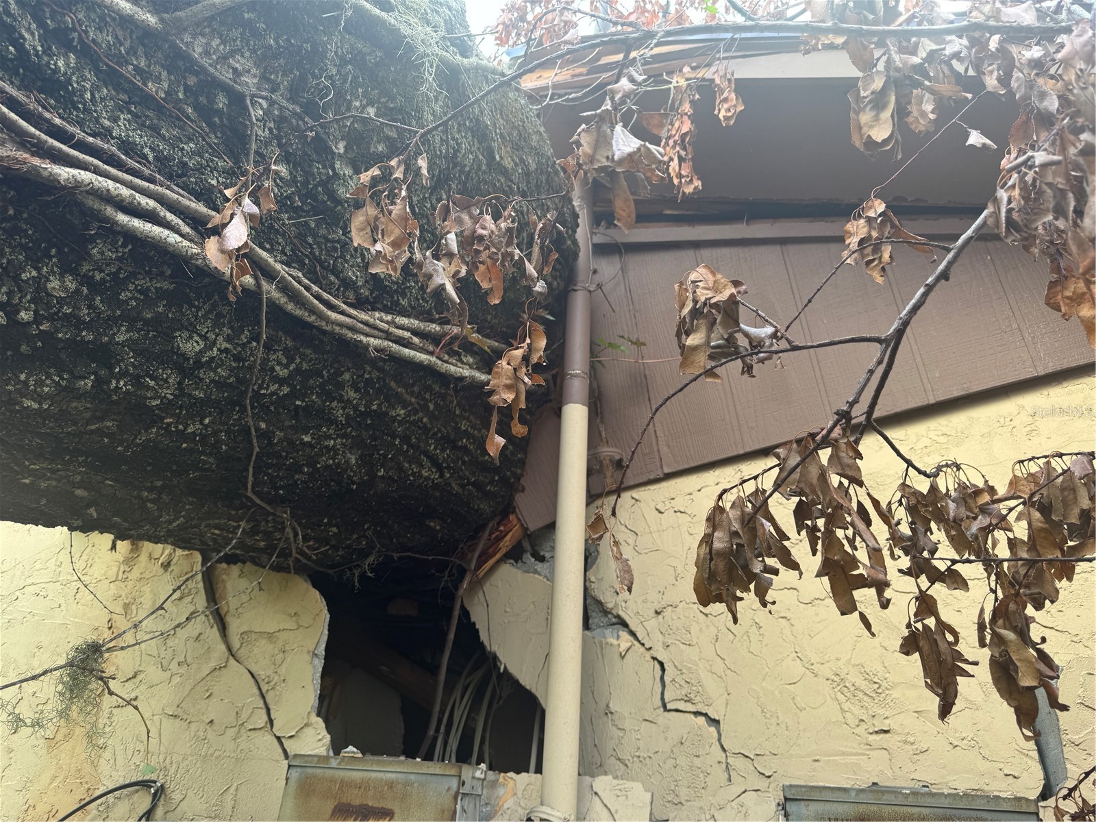 801 N Kingsway Road Seffner FL 33584 TB8463986 image15