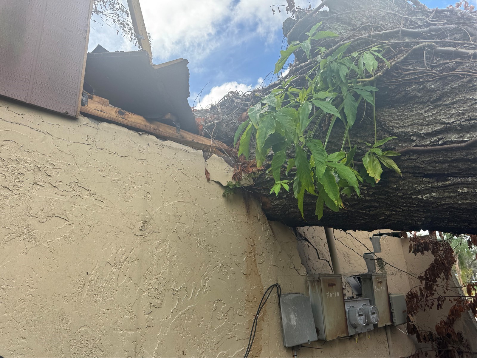 801 N Kingsway Road Seffner FL 33584 TB8463986 image18