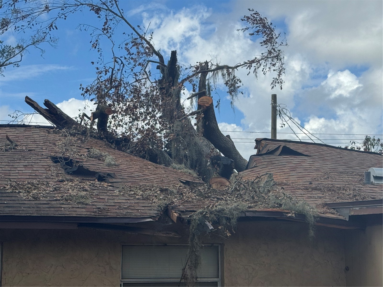 801 N Kingsway Road Seffner FL 33584 TB8463986 image21