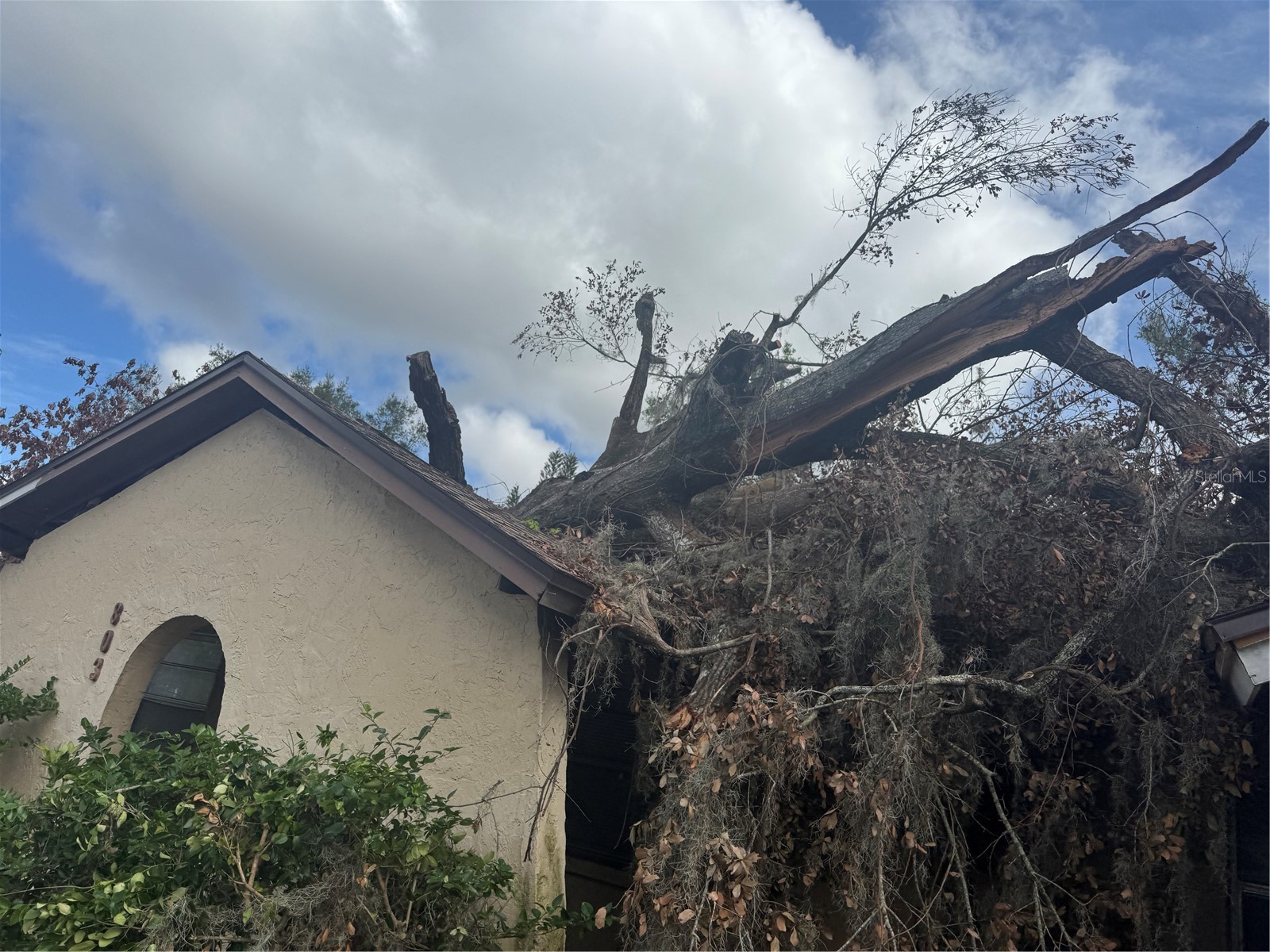 801 N Kingsway Road Seffner FL 33584 TB8463986 image25