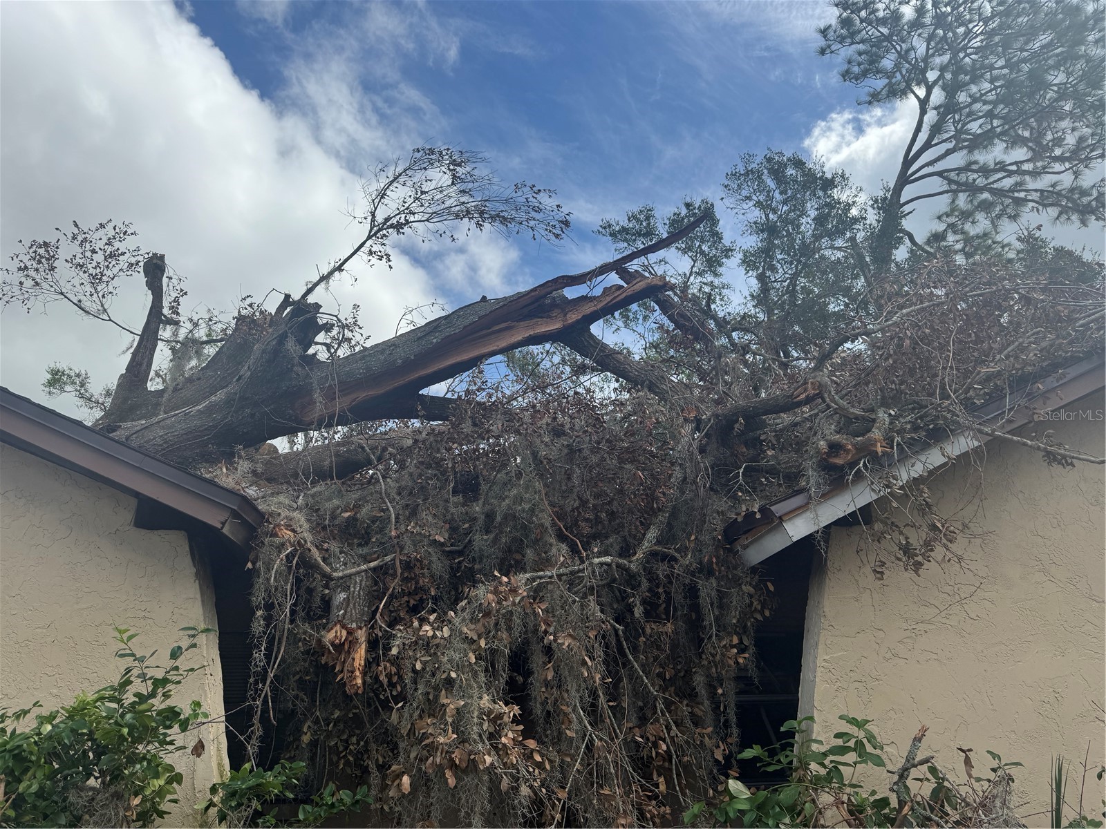 801 N Kingsway Road Seffner FL 33584 TB8463986 image26