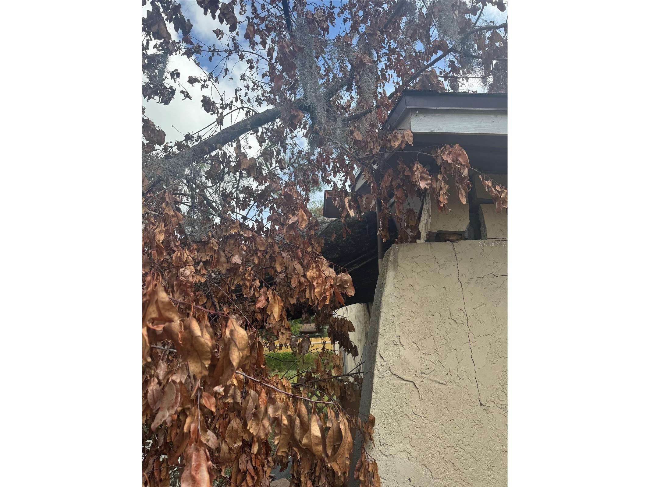 801 N Kingsway Road Seffner FL 33584 TB8463986 image27