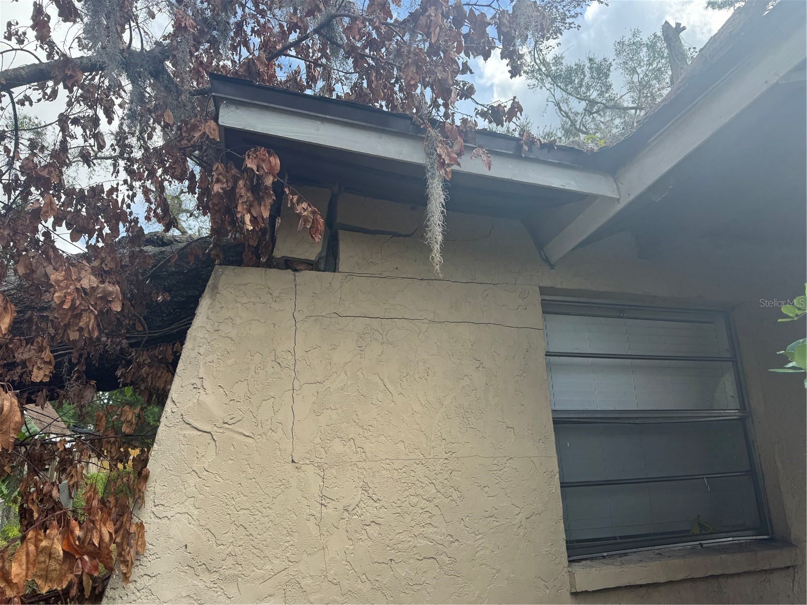 801 N Kingsway Road Seffner FL 33584 TB8463986 image28