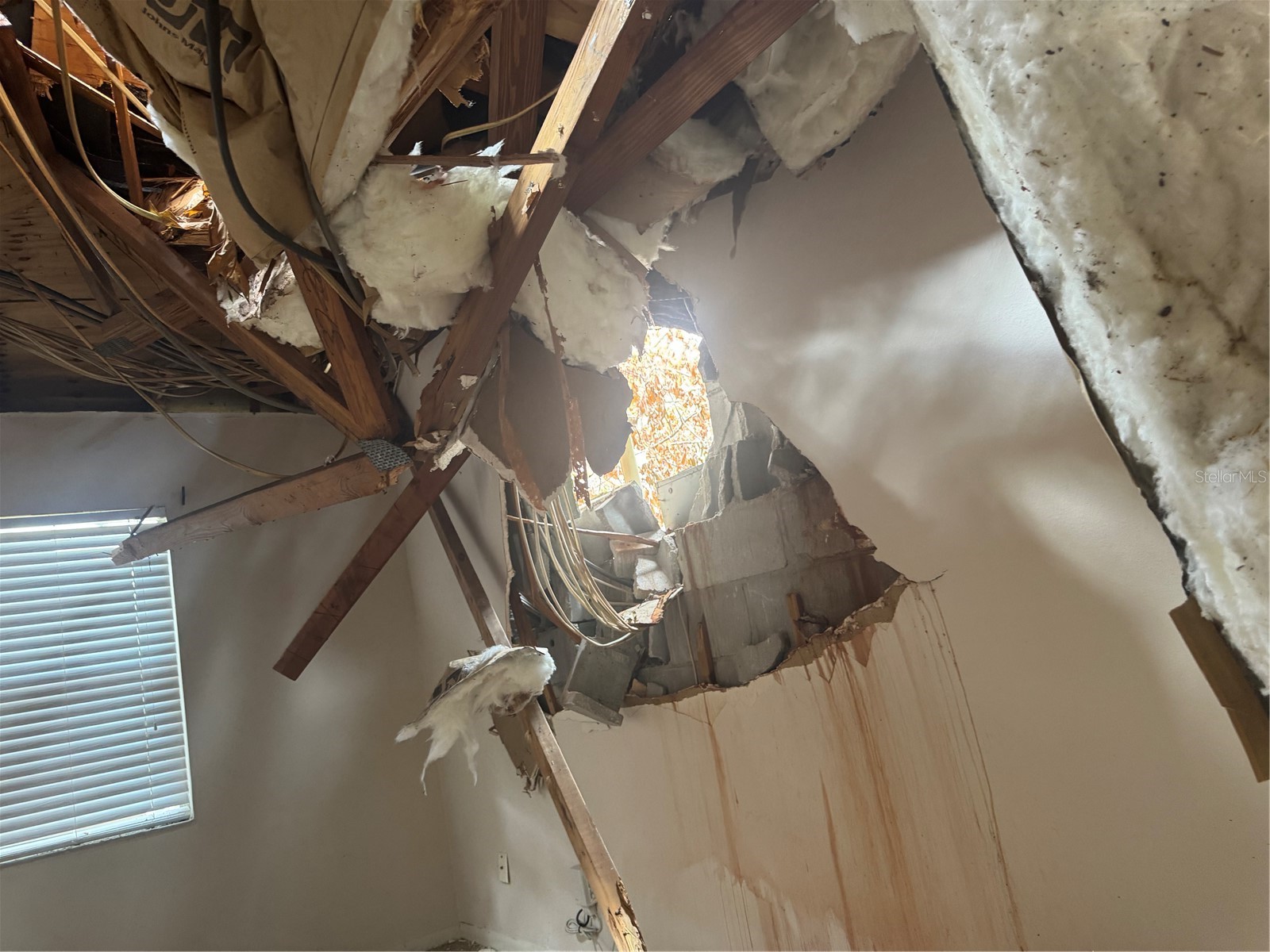 801 N Kingsway Road Seffner FL 33584 TB8463986 image8