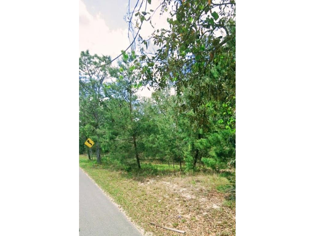 801 Pineapple Street Pomona Park FL 32181 A4626949 image1